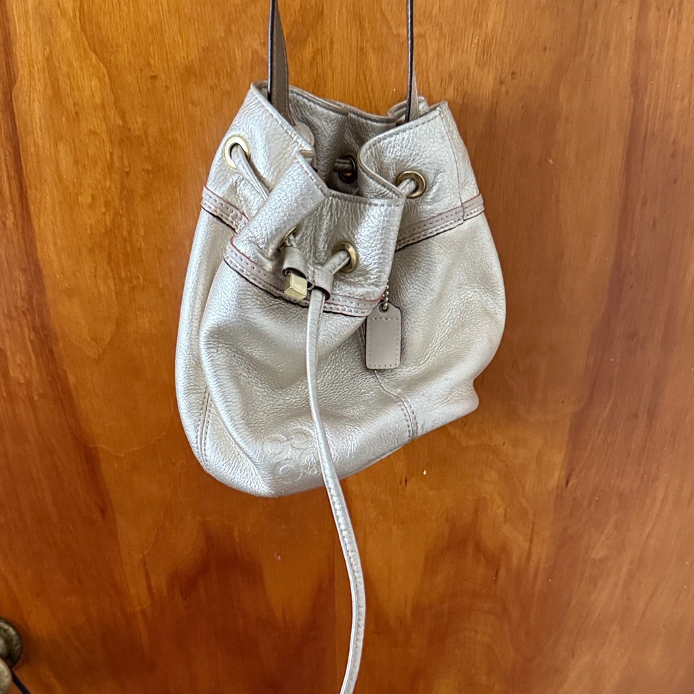Coach Metallic Crossbody Bag